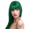 Crazy Color hajszínező 100ml No.46 - Pine Green