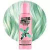 Crazy Color hajszínező 100ml No.71 - Peppermint
