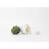 Dr.Spiller Alpesi Aloe krém Light 50ml